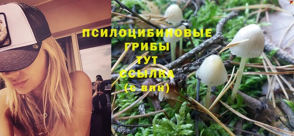 трава Мегион