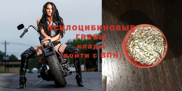 марки lsd Медногорск