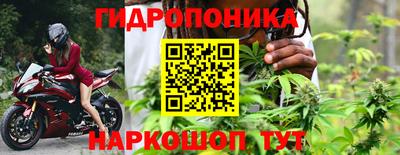 ГАЛЛЮЦИНОГЕННЫЕ ГРИБЫ Будённовск