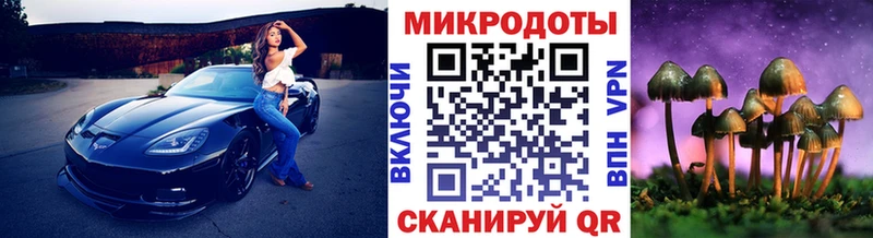 MEGA вход  Донской  Псилоцибиновые грибы Psilocybe  магазин продажи наркотиков 