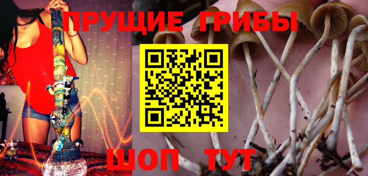 Псилоцибиновые грибы Magic Shrooms Донской