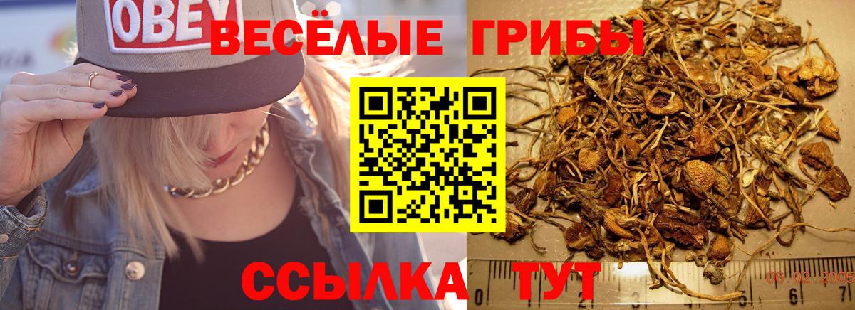 Донской  Галлюциногенные грибы GOLDEN TEACHER  Вход с VPN 
