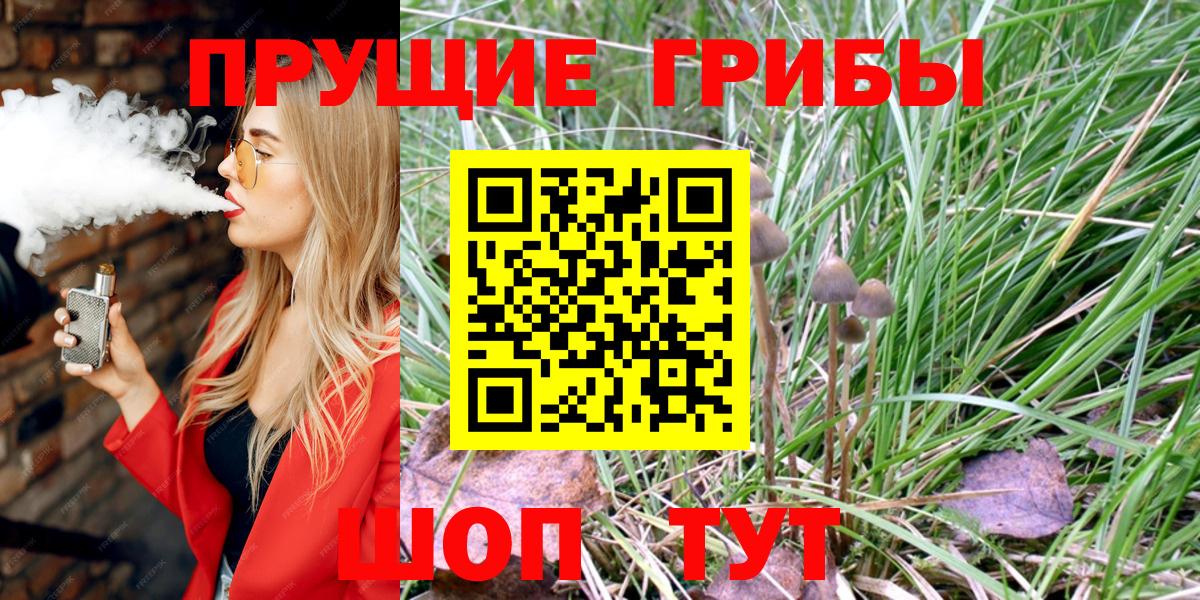 закладки  Донской  Галлюциногенные грибы MAGIC MUSHROOMS 